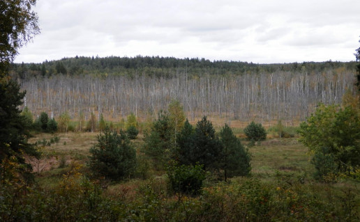 34_Juodlės pažintinis (2).jpg